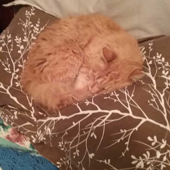 Meet your Posher, La veta - Picture 2 of 7